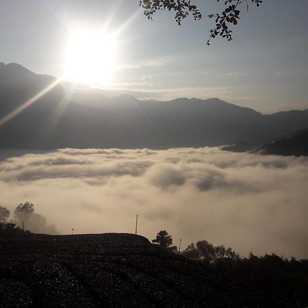 Alishan Shanyunhua B&B Homestay Mejsan Kültér fotó