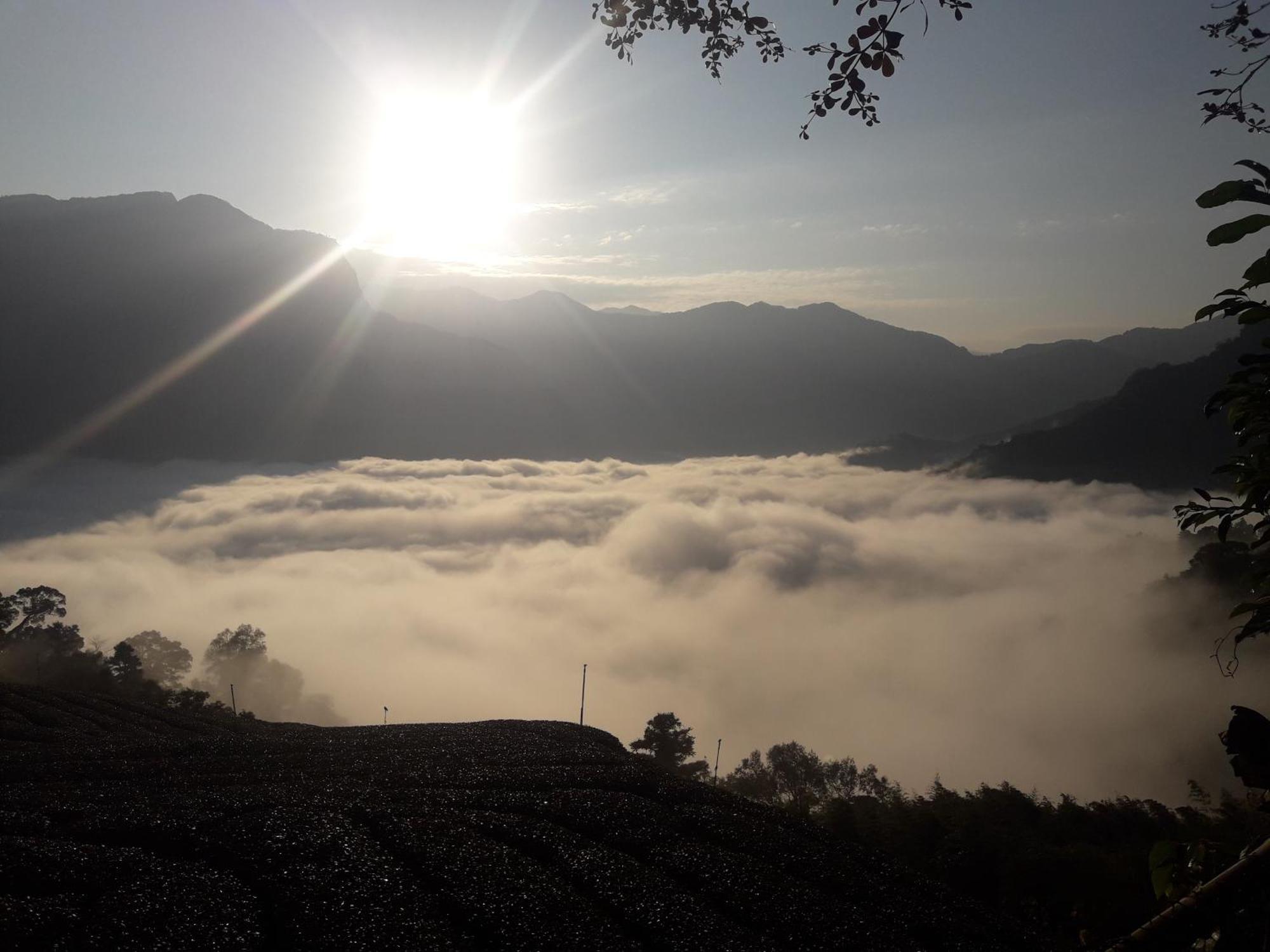 Alishan Shanyunhua B&B Homestay Mejsan Kültér fotó
