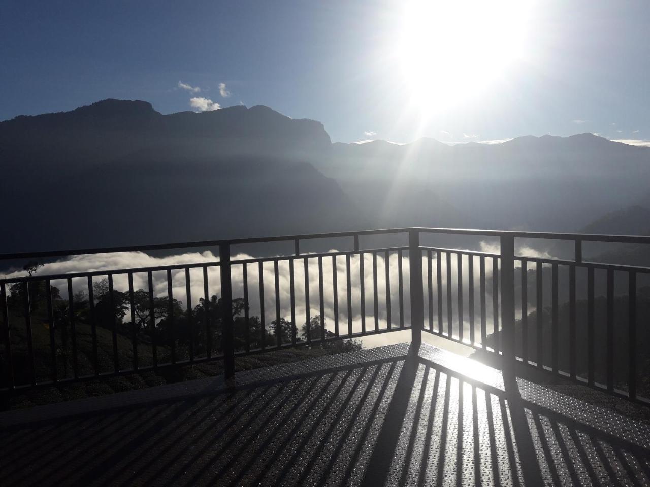Alishan Shanyunhua B&B Homestay Mejsan Kültér fotó